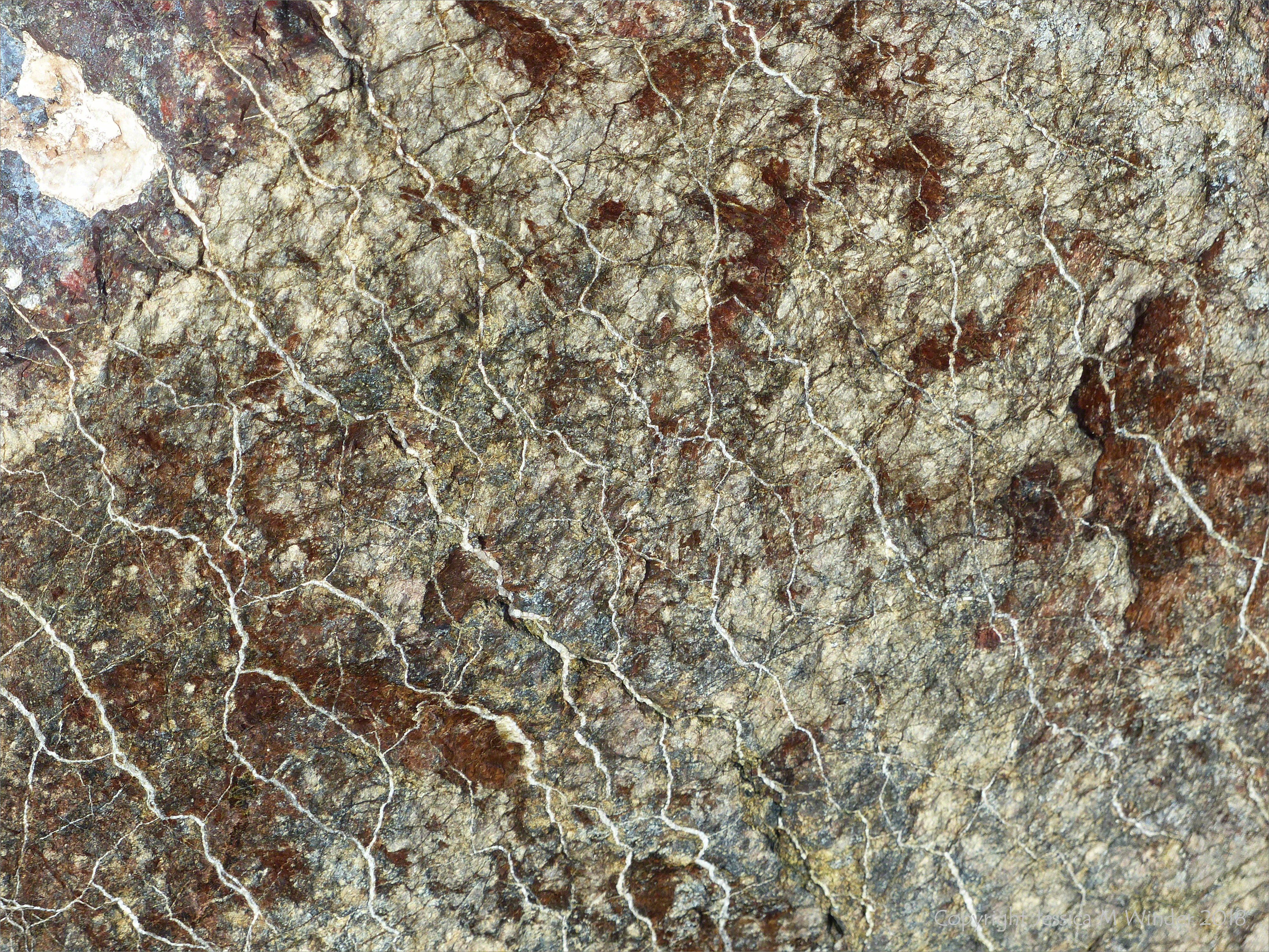 Close-up of rock at Kennack Sands