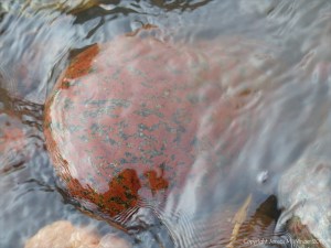 Pebbles in a beach stream at Kennack Sands