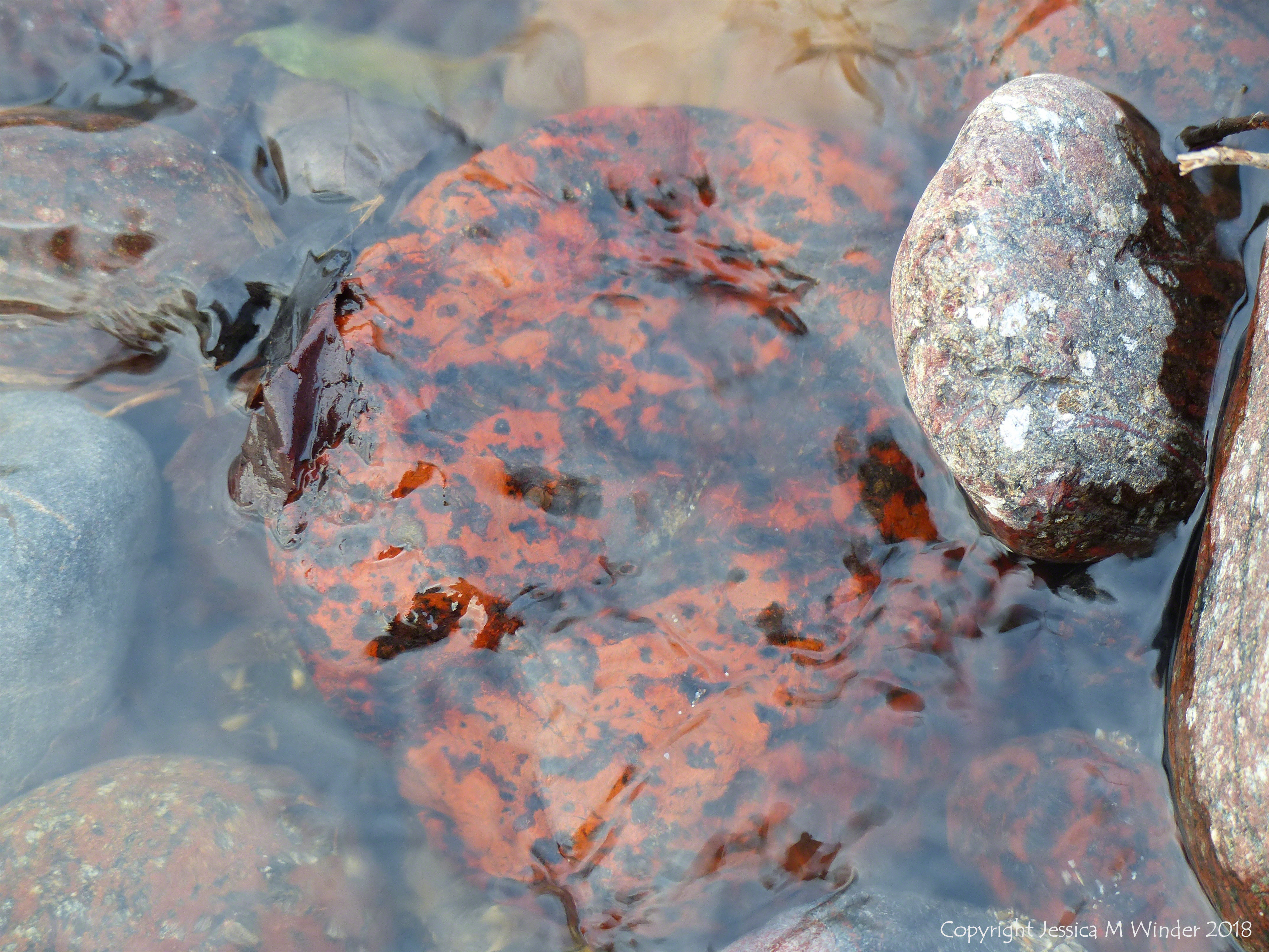 Pebbles in a beach stream at Kennack Sands
