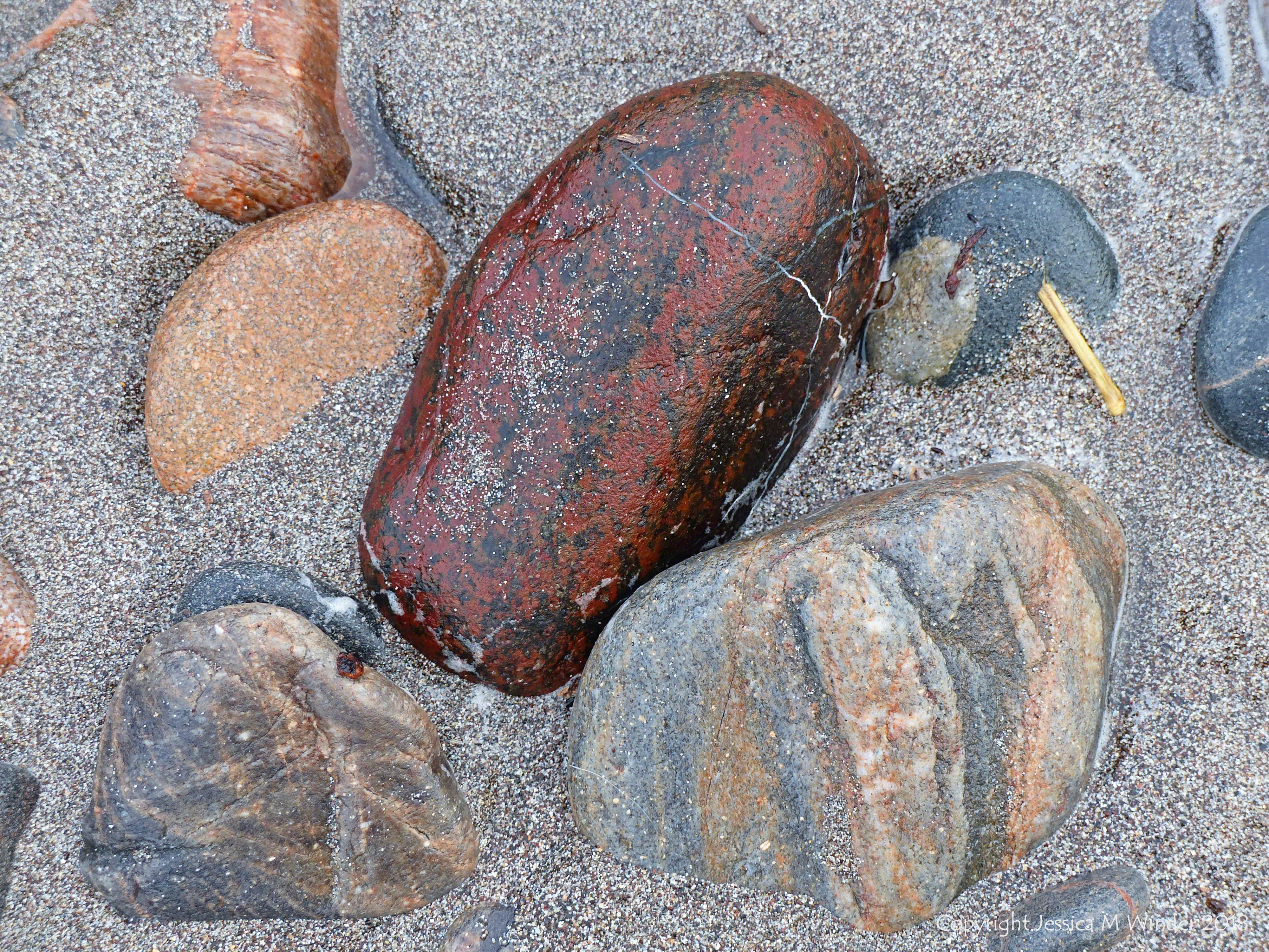 Pebbles in a beach stream at Kennack Sands