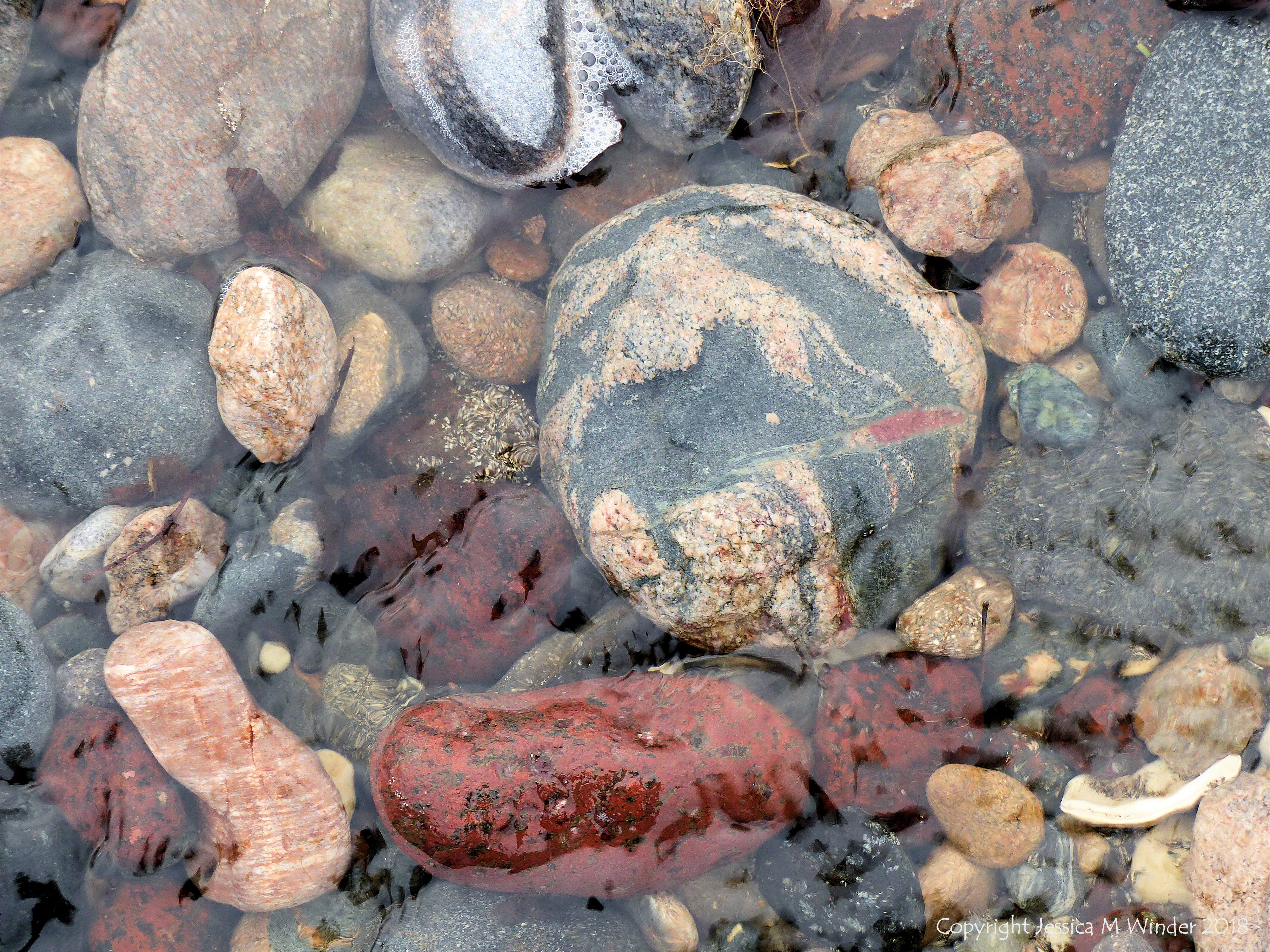 Pebbles in a beach stream at Kennack Sands