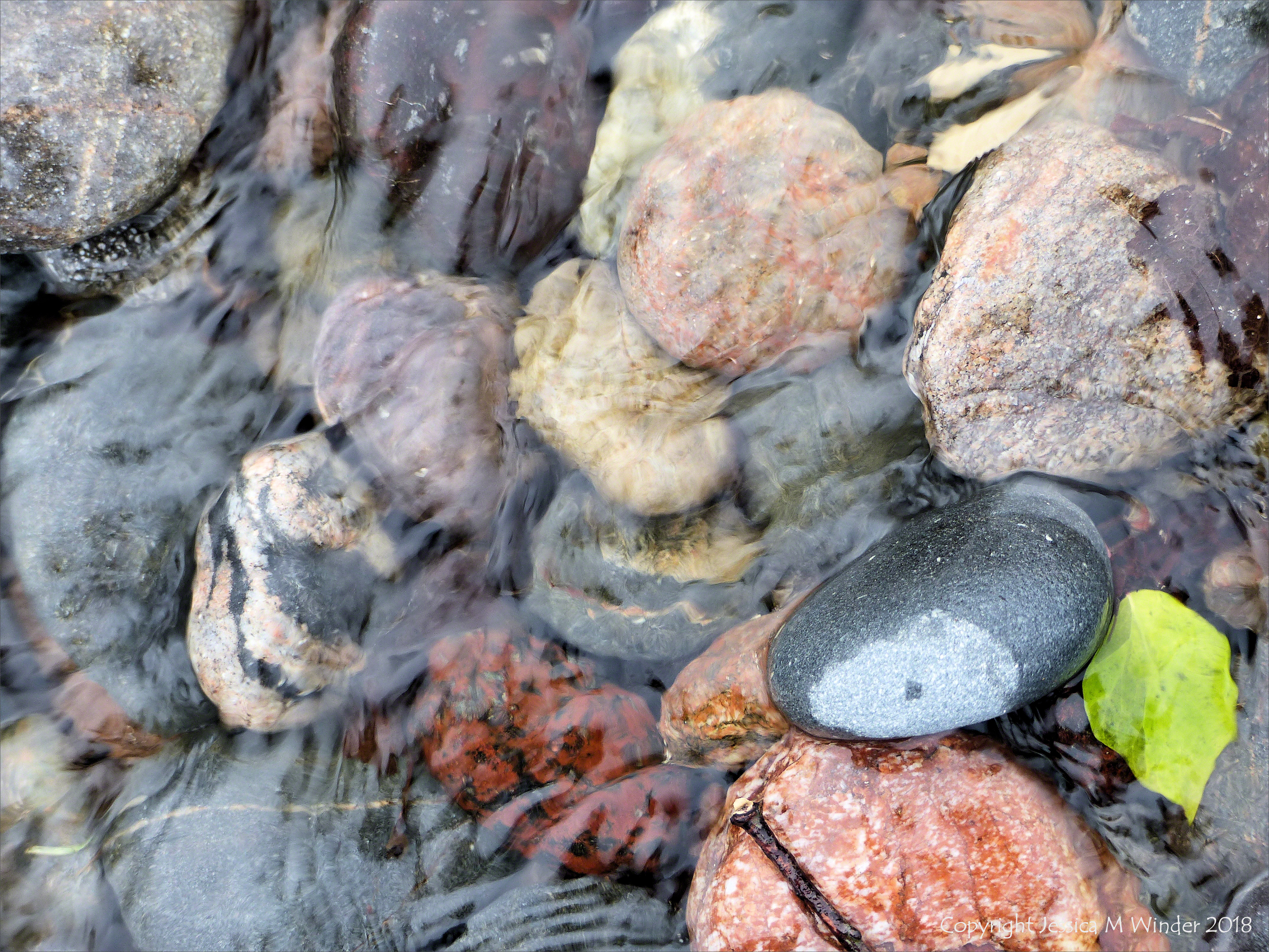 Pebbles in a beach stream at Kennack Sands