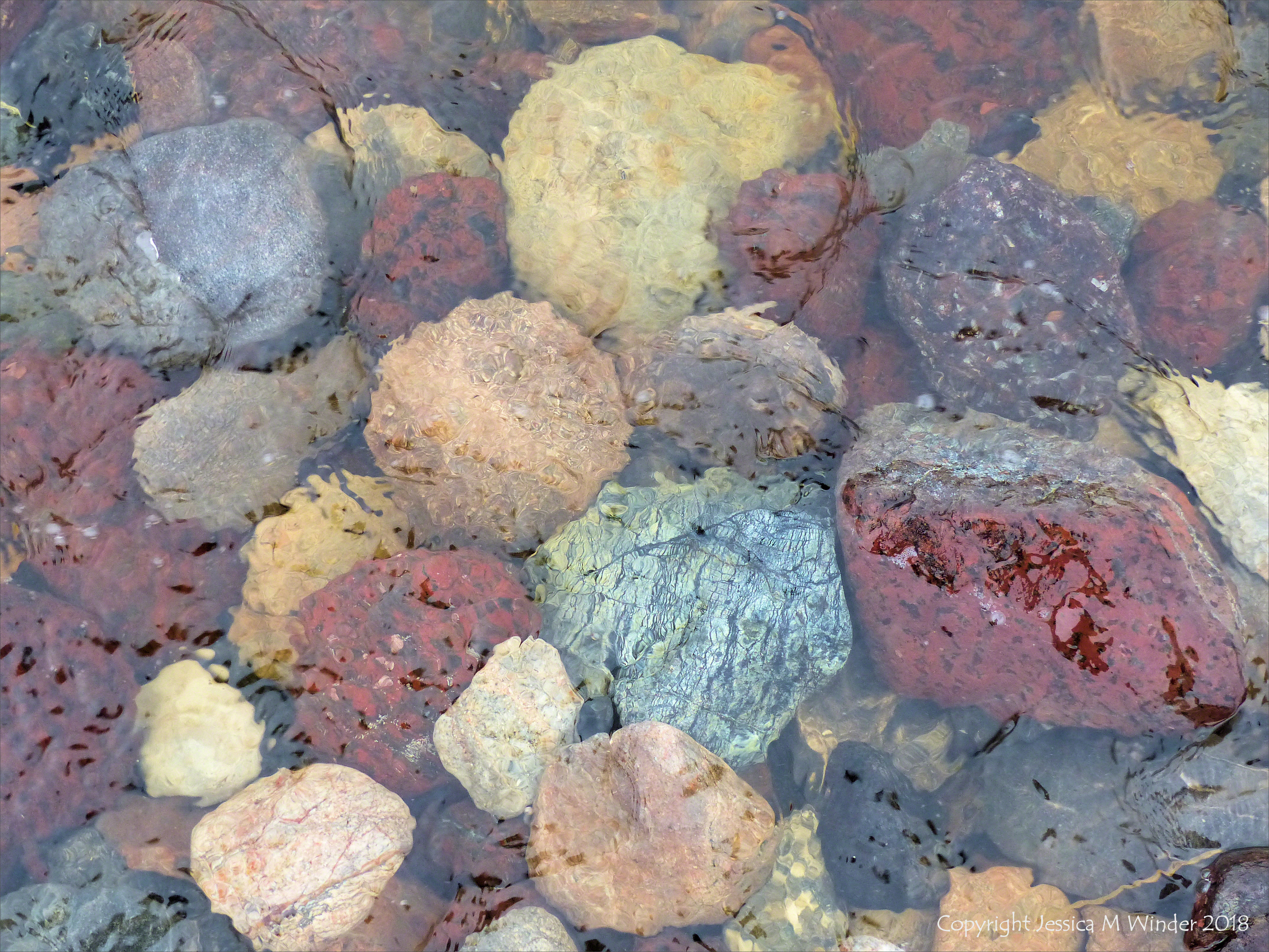 Pebbles in a beach stream at Kennack Sands