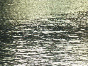 Reflected golden light on the surface of water
