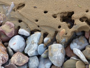 Beach pebbles covered with sand