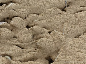 Beach pebbles covered with sand