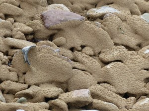 Beach pebbles covered with sand