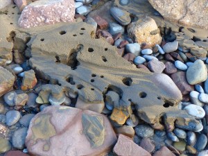 Beach pebbles covered with sand