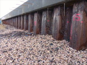 Seashell drift with slag and clinker