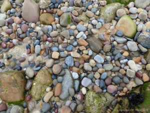 Pebbles at Langland Bay