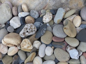 Pebbles at Langland Bay