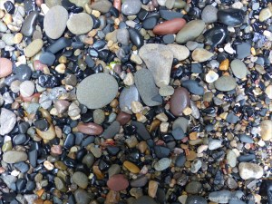 Pebbles at Langland Bay