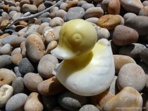 Faded yellow plastic duck washed up on a pebble beach