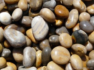 Pebbles on Chesil Beach