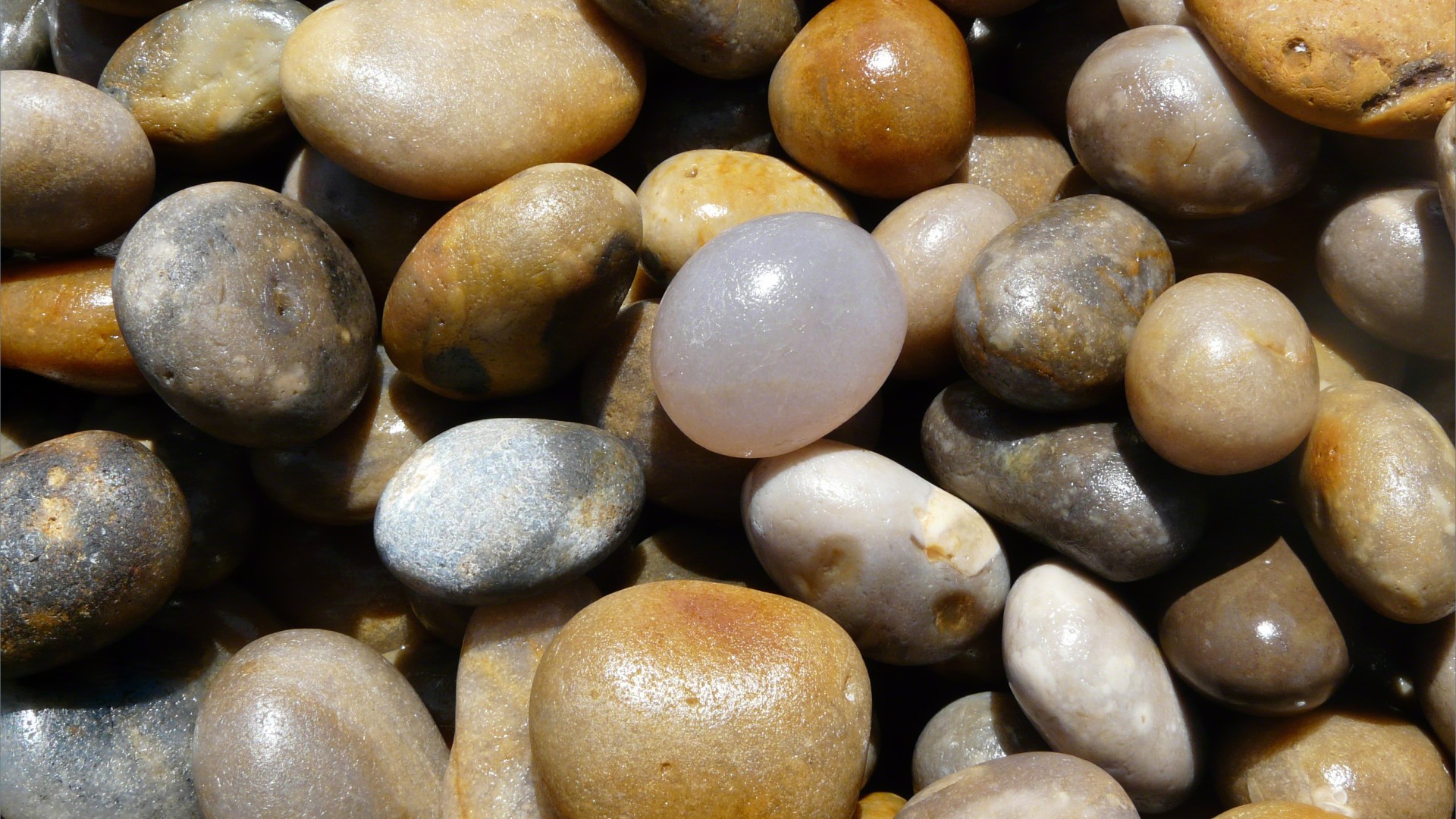 Pebbles on Chesil Beach