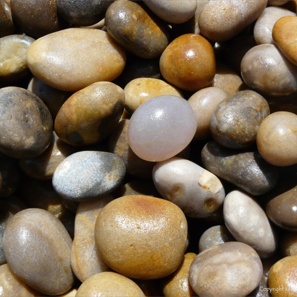 Pebbles on Chesil Beach