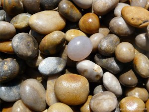 Pebbles on Chesil Beach
