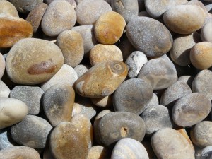 Pebbles on Chesil Beach