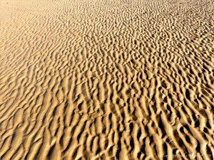 Natural patterns in the sand on the beach