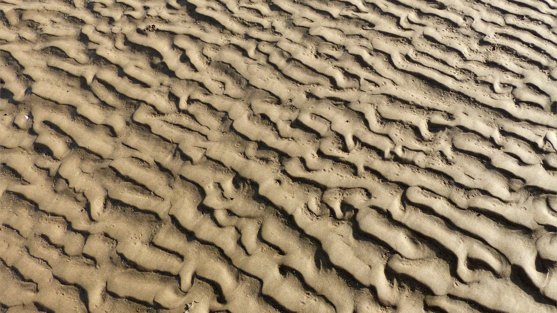 Natural patterns in the sand on the beach