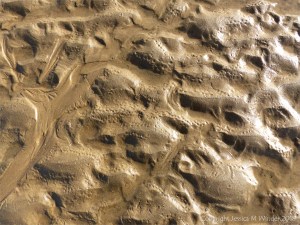 Natural patterns in the sand on the beach