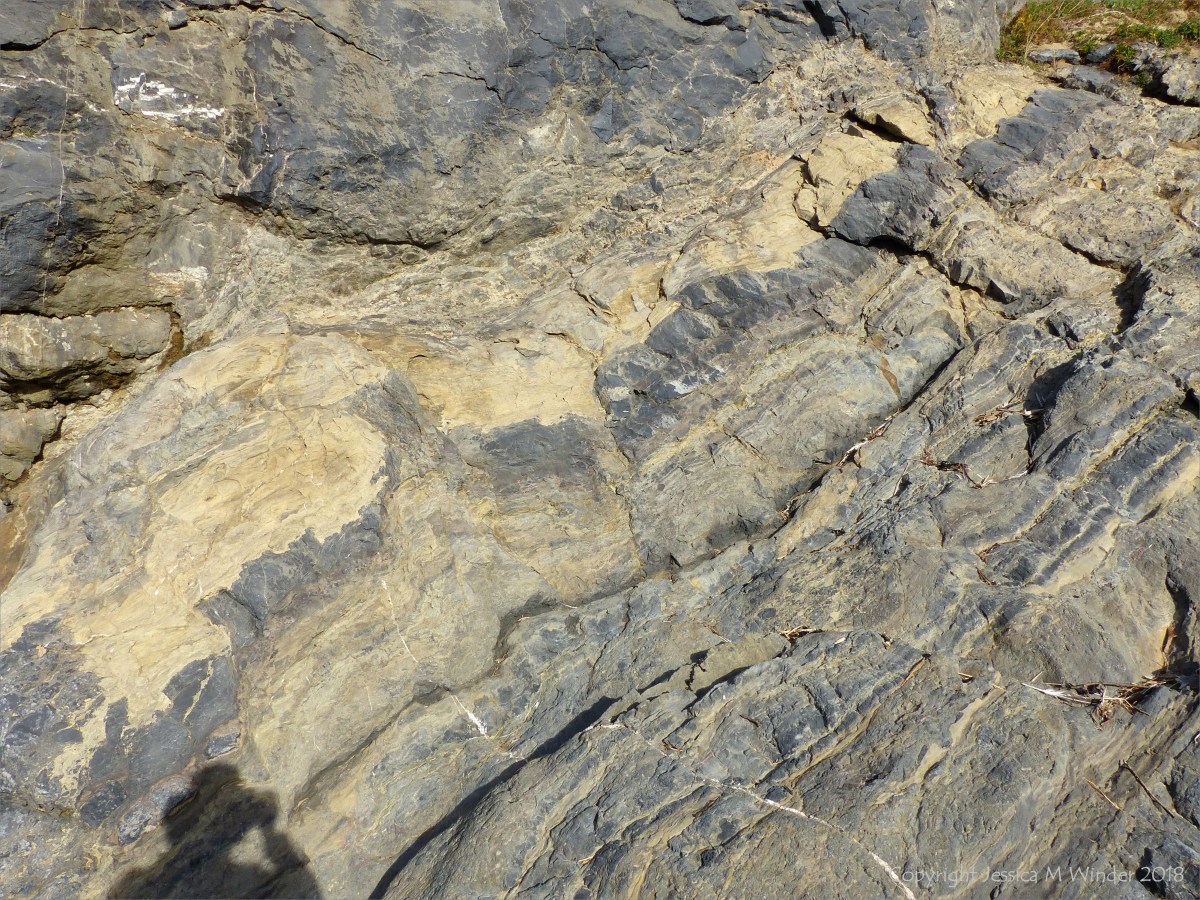 Prissen’s Tor Rocks 1 – Jessica's Nature Blog