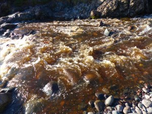 A torrent of water flowing in a Cornish stream