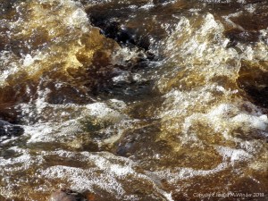 A torrent of water flowing in a Cornish stream