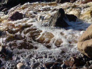 A torrent of water flowing in a Cornish stream