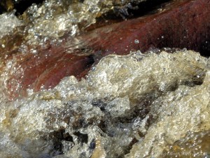 A torrent of water flowing in a Cornish stream