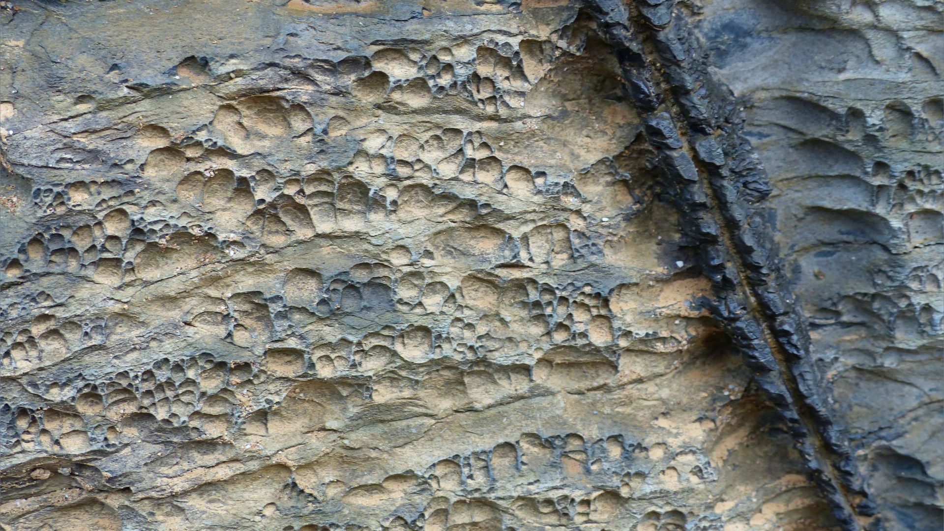 Cornish rock texture and pattern