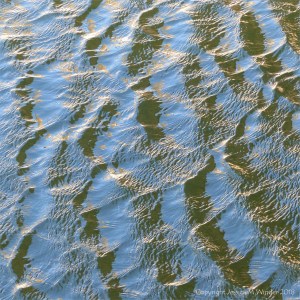 Natural unaltered surface water texture and pattern