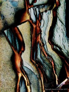 Abstract image of Lias limestone strata