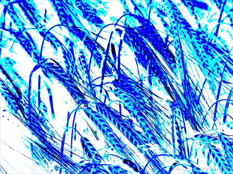 Design with barley motif