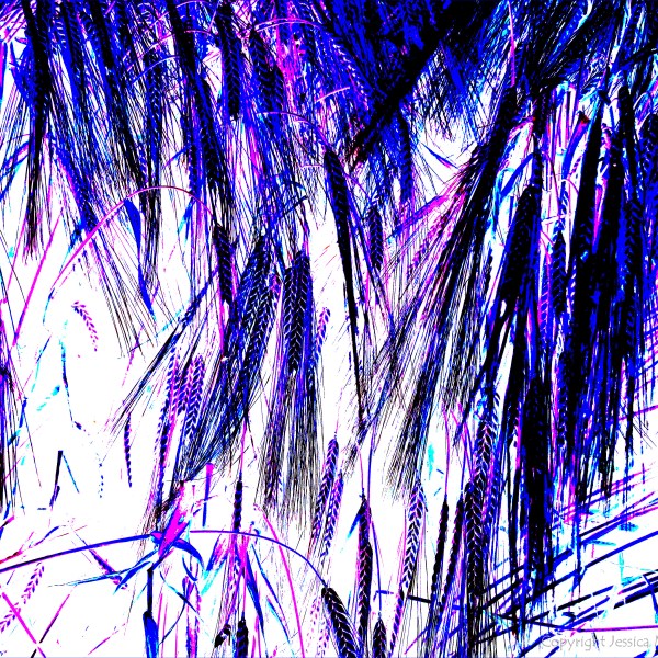 Artistic design with barley motif