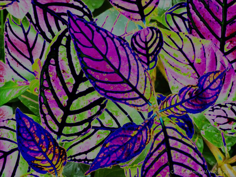 Leaf design in bright colours