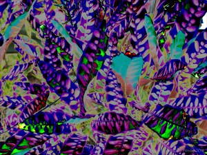 Leafy design in bright colours