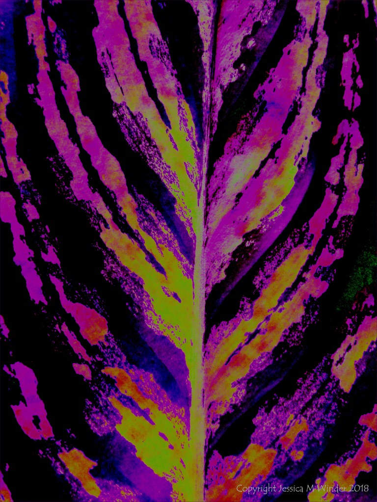 Leafy design in bright colours