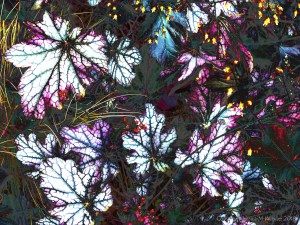 Leafy design in bright colours