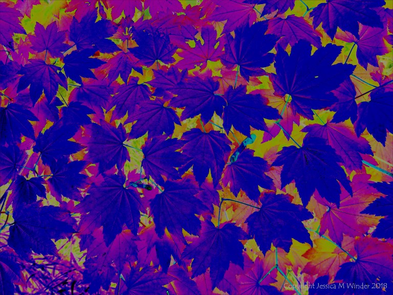 Leafy design in bright colours