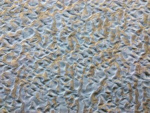 Natural ripple patterns in tidal river mud