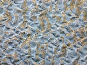 Natural ripple patterns in tidal river mud