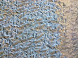 Natural ripple patterns in tidal river mud