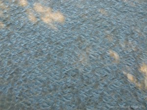 Natural ripple patterns in tidal river mud