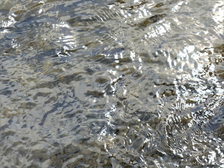 Silvery natural patterns on the surface of flowing water