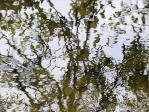 Natural abstract reflections on water