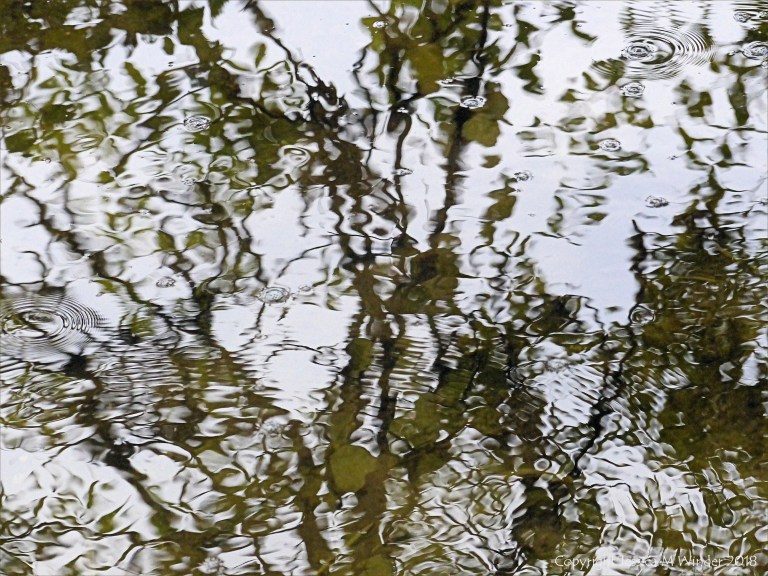 Natural abstract reflections on water
