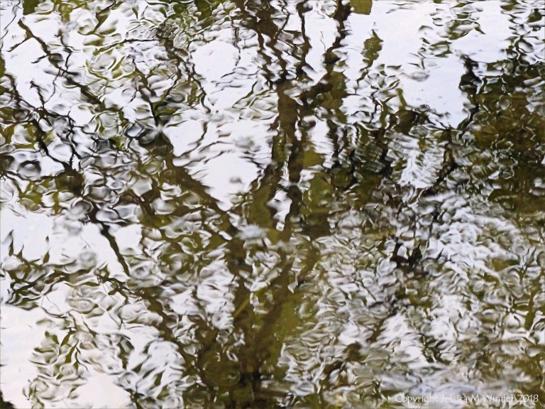 Natural abstract reflections on water