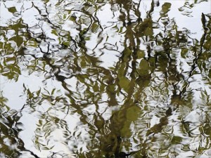 Natural abstract reflections on water