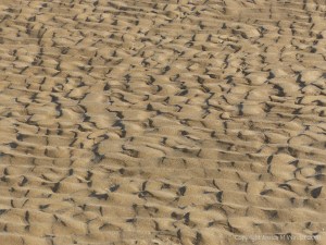 Natural patterns in beach sand